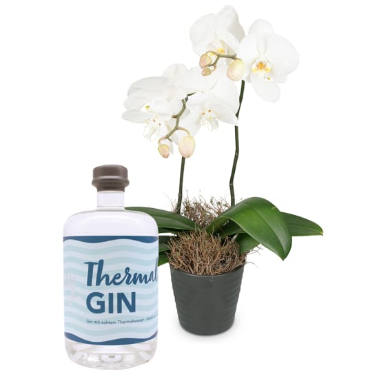 Weiße Orchidee (Phalaenopsis) mit Thermal GIN (350 ml)